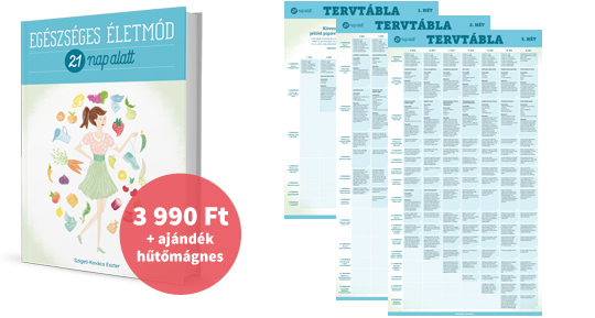 mennyibe kerül az Egészséges életmód 21 nap alatt c. könyv